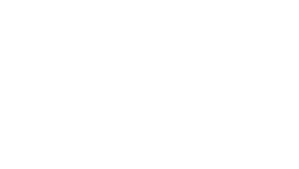 aegis